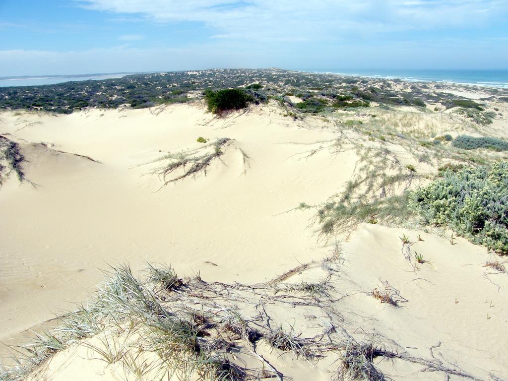 Villa Coorong Waterfront Retreat Meningie Esterno foto